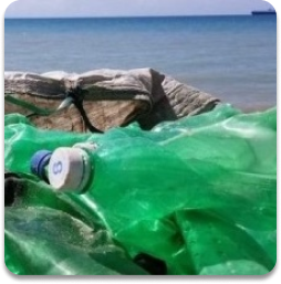 plasiques des océans